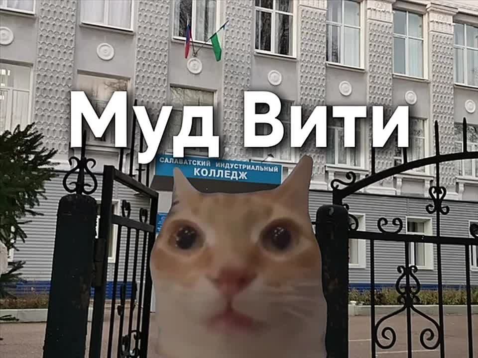 Преподавательница салаватского колледжа выкинула телефон студента из окна, потому что он вечно в нём залипал