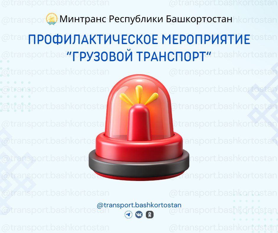 Внимание: массовые проверки водителей