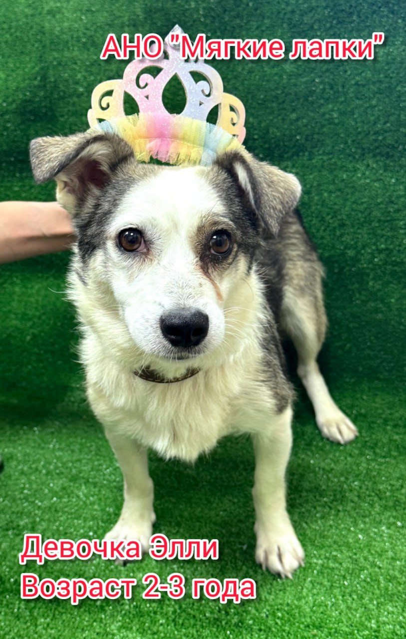 Приглашаем вас на незабываемую благотворительную акцию «Ищу человека» Это событие - часть проекта «Уфа добрая», которое организовано по инициативе мэра Уфы Ратмира Мавлиева Приглашаем вас на незабываемую благотворительную акцию «Ищу человека» Это событие - часть проекта «Уфа добрая», которое организовано по инициативе мэра Уфы Ратмира Мавлиева