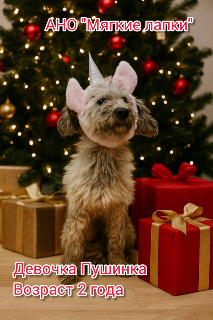 Приглашаем вас на незабываемую благотворительную акцию «Ищу человека» Это событие - часть проекта «Уфа добрая», которое организовано по инициативе мэра Уфы Ратмира Мавлиева Приглашаем вас на незабываемую благотворительную акцию «Ищу человека» Это событие - часть проекта «Уфа добрая», которое организовано по инициативе мэра Уфы Ратмира Мавлиева