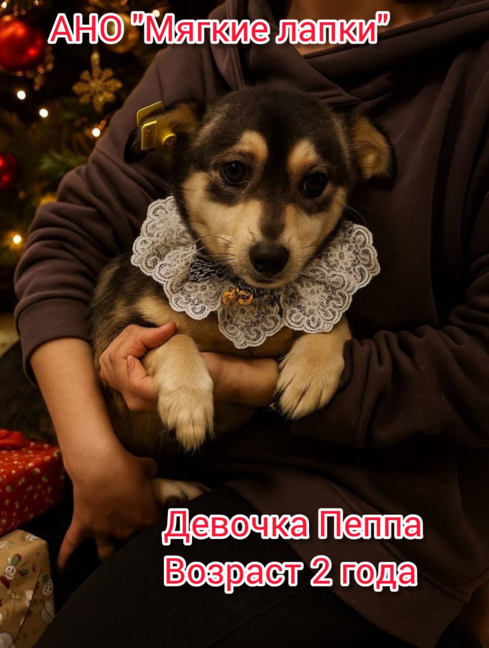 Приглашаем вас на незабываемую благотворительную акцию «Ищу человека» Это событие - часть проекта «Уфа добрая», которое организовано по инициативе мэра Уфы Ратмира Мавлиева Приглашаем вас на незабываемую благотворительную акцию «Ищу человека» Это событие - часть проекта «Уфа добрая», которое организовано по инициативе мэра Уфы Ратмира Мавлиева