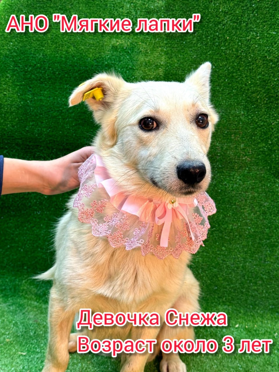 Приглашаем вас на незабываемую благотворительную акцию «Ищу человека» Это событие - часть проекта «Уфа добрая», которое организовано по инициативе мэра Уфы Ратмира Мавлиева Приглашаем вас на незабываемую благотворительную акцию «Ищу человека» Это событие - часть проекта «Уфа добрая», которое организовано по инициативе мэра Уфы Ратмира Мавлиева