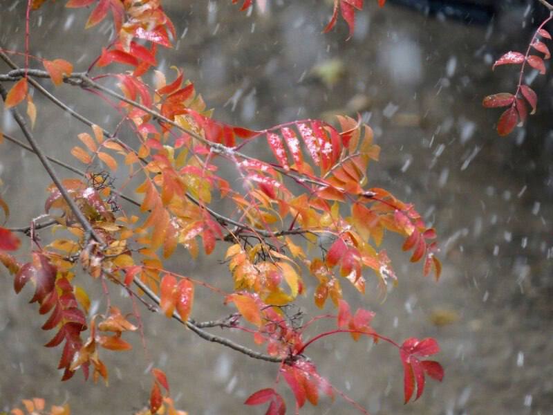 По данным Башгидромета, 13 ноября на территории республики ожидается облачная погода с прояснениями