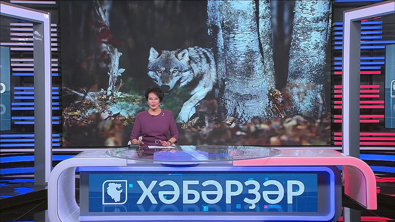 ыраай хайуандар ауылдара яынлаша