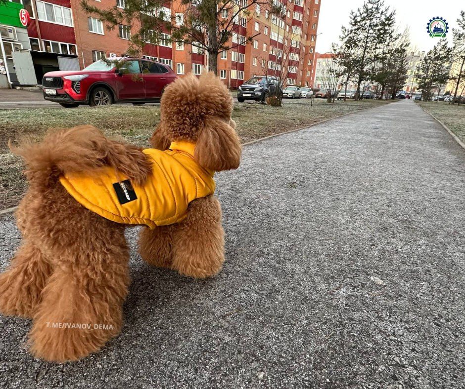 , #любимаяУфа!. Ивана Иванова, главы администрации Дёмского района Уфы Подпишись на Город Уфа в MAX | Телеграм | ВКонтакте | Одноклассники