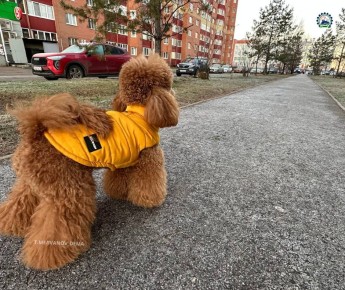 , #!.  ,   ĸ        MAX |  |  | 