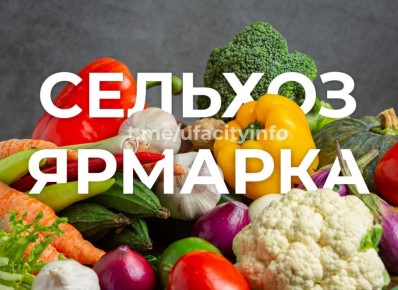 Своё вкуснее. 15 и 16 ноября в Уфе пройдут сельскохозяйственные ярмарки, на которых горожане и гости города смогут приобрести продукты и овощи напрямую от башкирских производителей В субботу продажа развернется:
