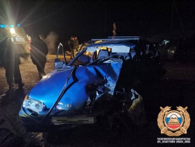Два человека погибли в ДТП в Башкирии, еще пять доставлены в больницу, сообщил главный госинспектор безопасности дорожного движения республики Севастьянов