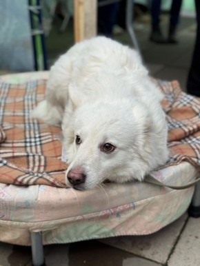 Cейчас проходит благотворительная акция «Ищу человека»