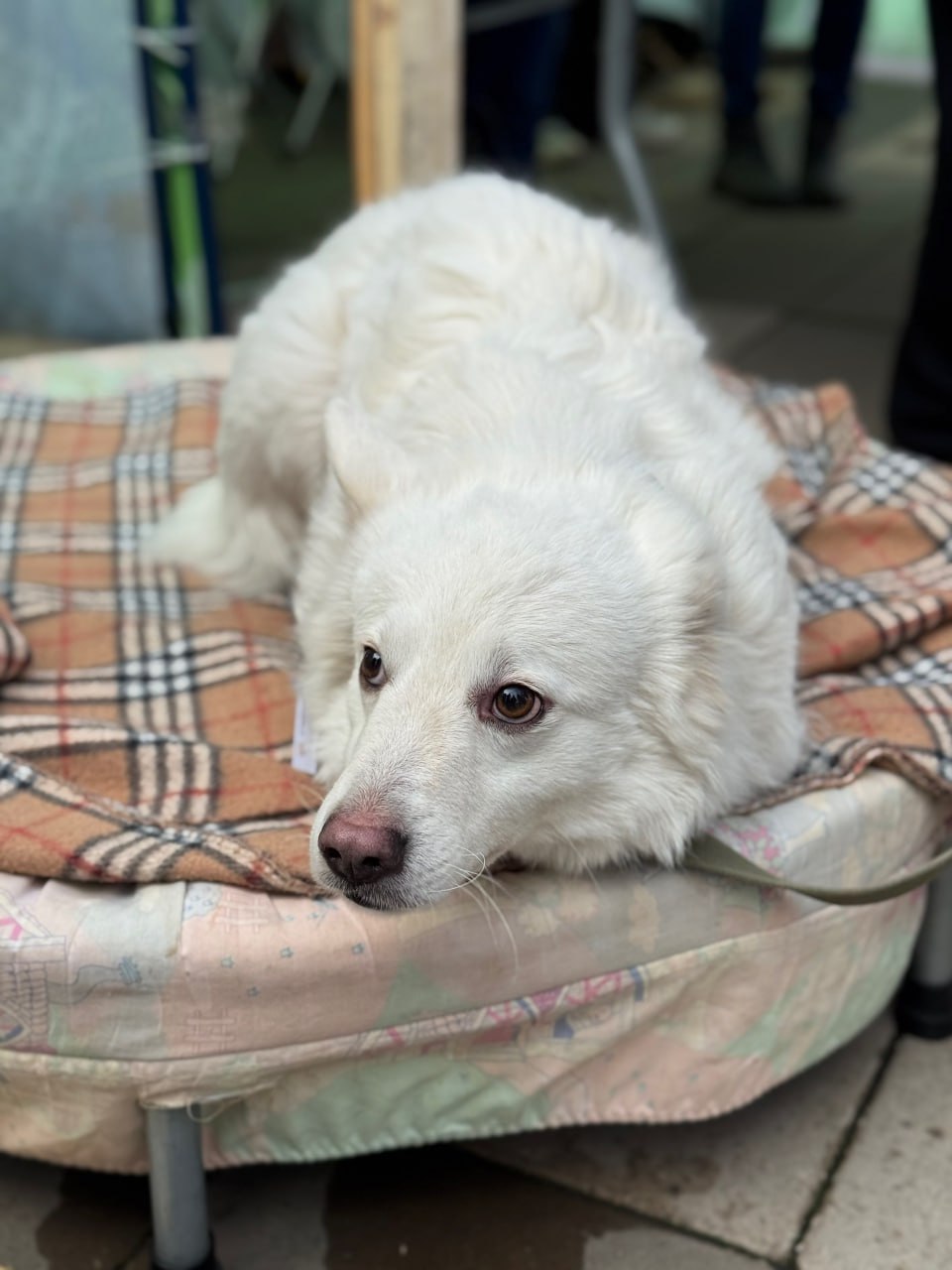 Так прямо сейчас проходит благотворительная акция «Ищу человека» Так прямо сейчас проходит благотворительная акция «Ищу человека»