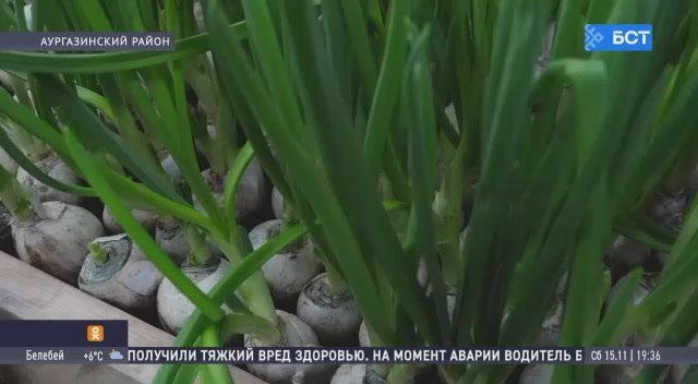 В Башкирии фермеры приобрели технику благодаря гранту «Агростартап»