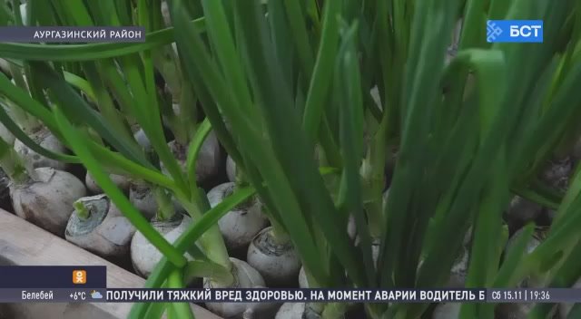 В Башкирии фермеры приобрели технику благодаря гранту «Агростартап»