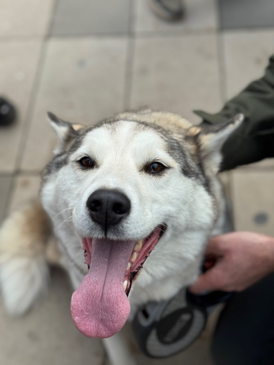 Так прямо сейчас проходит благотворительная акция «Ищу человека» Так прямо сейчас проходит благотворительная акция «Ищу человека»