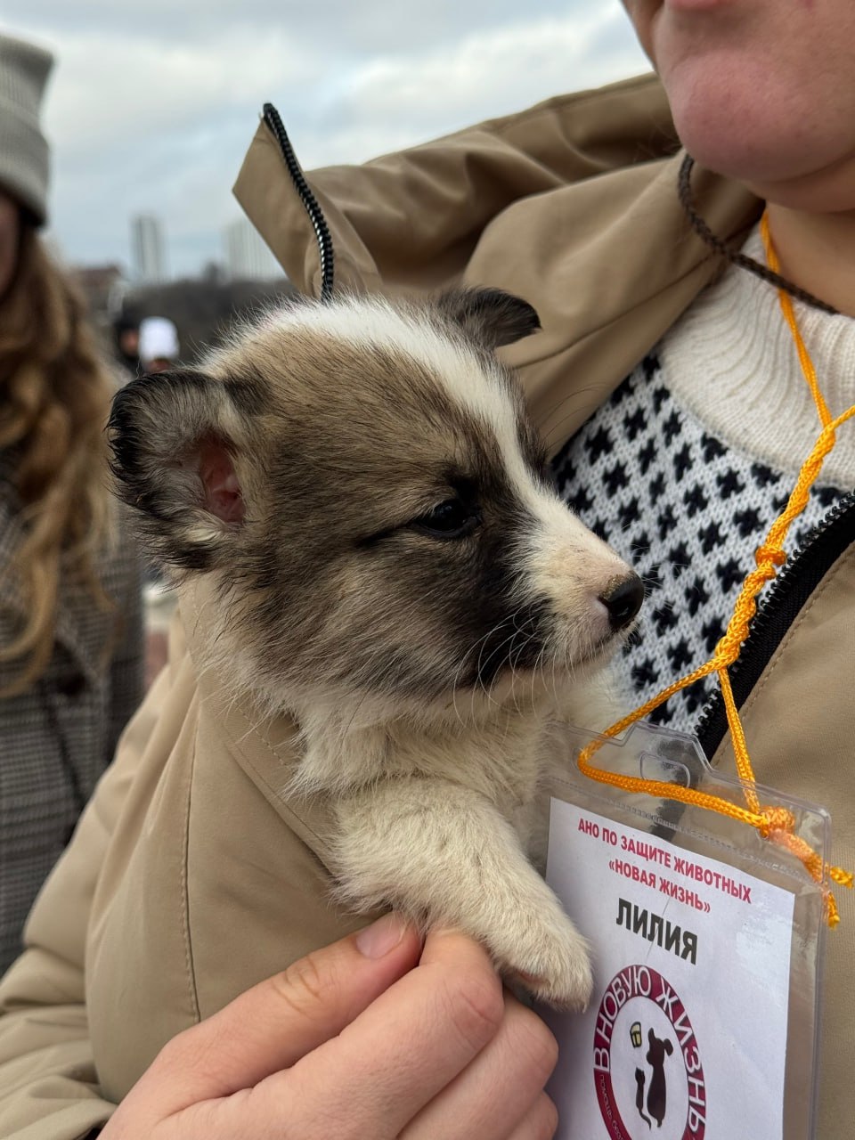 Так прямо сейчас проходит благотворительная акция «Ищу человека» Так прямо сейчас проходит благотворительная акция «Ищу человека»