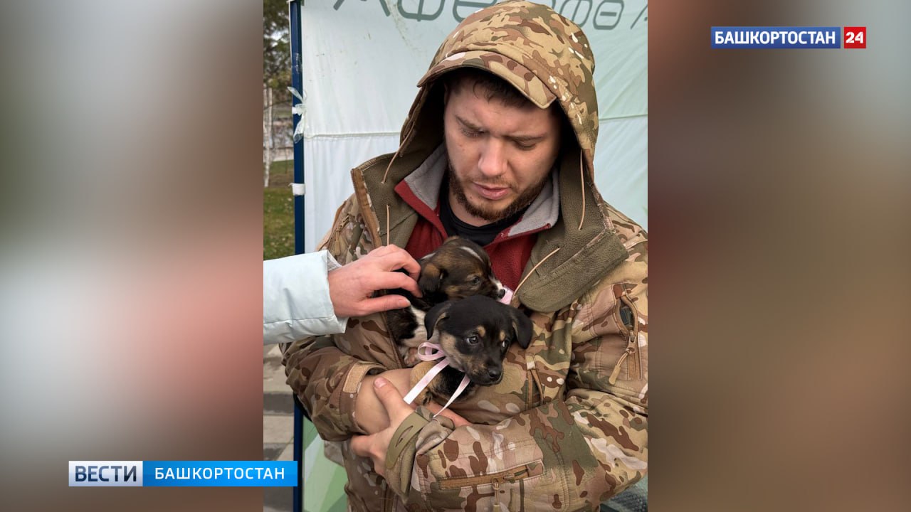 Собрали четыре тонны корма: в Уфе прошла акция для помощи бездомным животным «Ищу человека» Собрали четыре тонны корма: в Уфе прошла акция для помощи бездомным животным «Ищу человека»