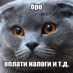 Налоговая напоминает. 1 декабря — крайний срок оплаты транспортного, земельного, имущественного налогов и НДФЛ за 2024 год