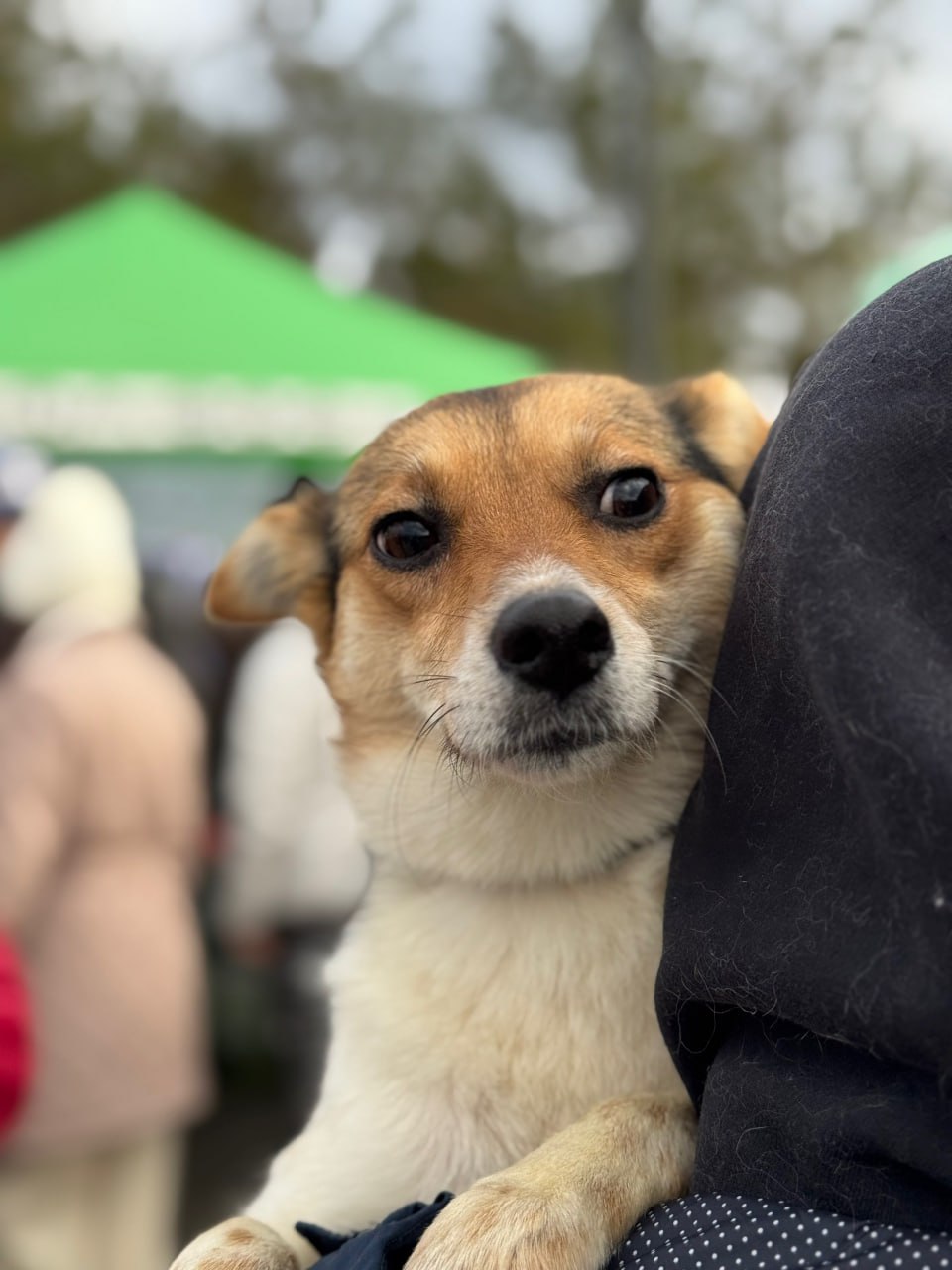 Так прямо сейчас проходит благотворительная акция «Ищу человека» Так прямо сейчас проходит благотворительная акция «Ищу человека»