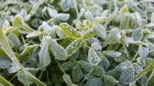 Неблагоприятные погодные явления