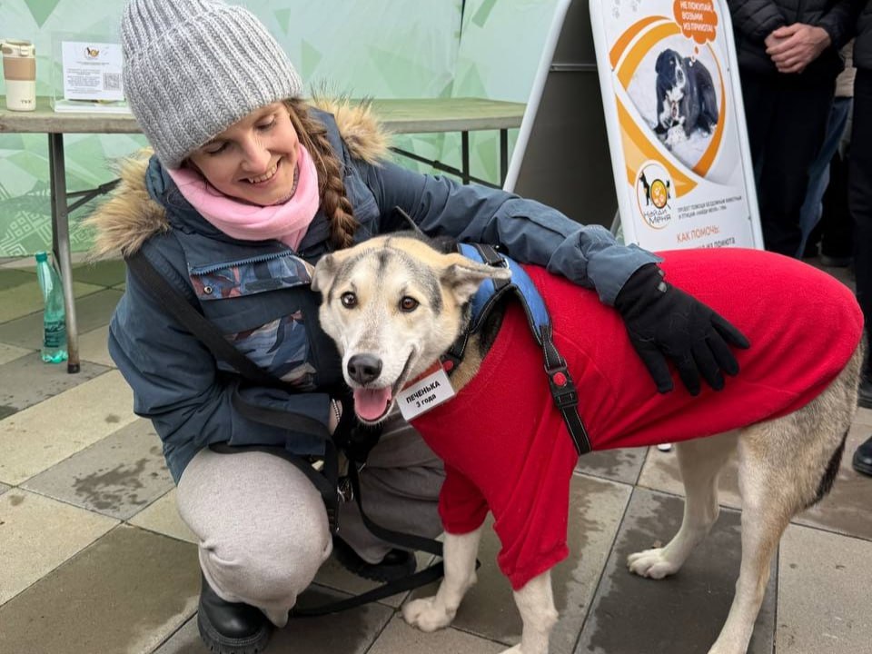 Друг в беде не бросит. 15 ноября в Уфе прошла десятая благотворительно-просветительская акция «Ищу человека» Она проводится ежемесячно по инициативе мэра Уфы Ратмира Мавлиева в рамках проекта «Уфа добрая» Площадкой стал парк...