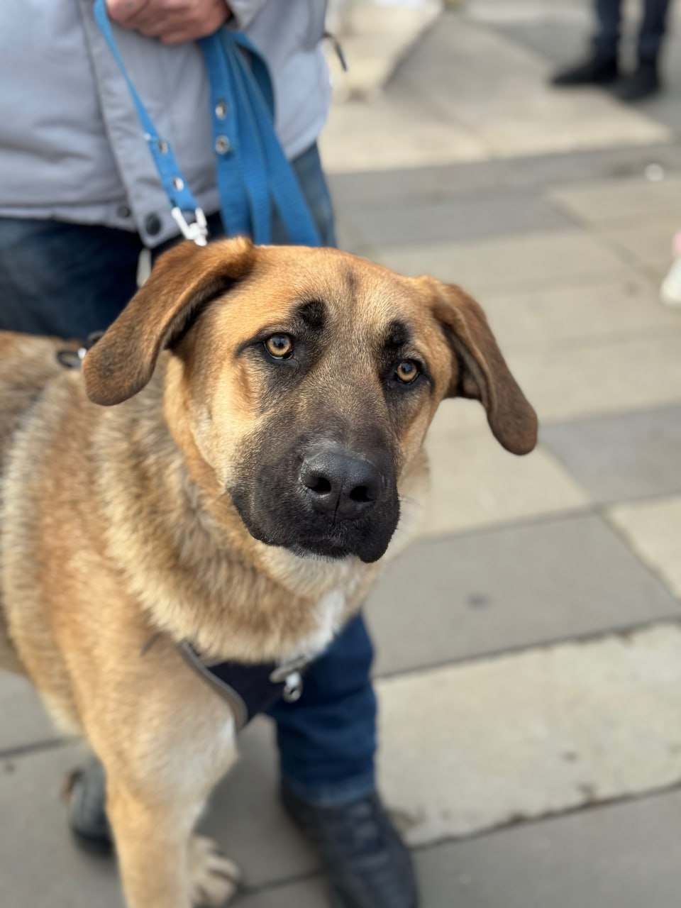 Так прямо сейчас проходит благотворительная акция «Ищу человека» Так прямо сейчас проходит благотворительная акция «Ищу человека»