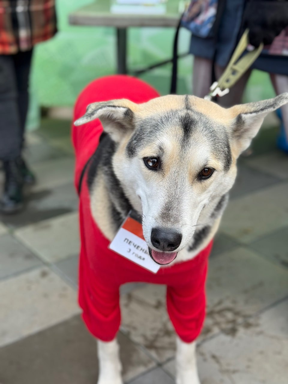 Так прямо сейчас проходит благотворительная акция «Ищу человека» Так прямо сейчас проходит благотворительная акция «Ищу человека»