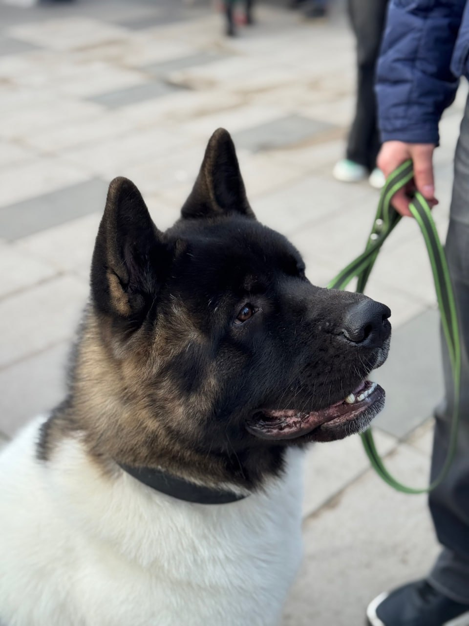Так прямо сейчас проходит благотворительная акция «Ищу человека» Так прямо сейчас проходит благотворительная акция «Ищу человека»