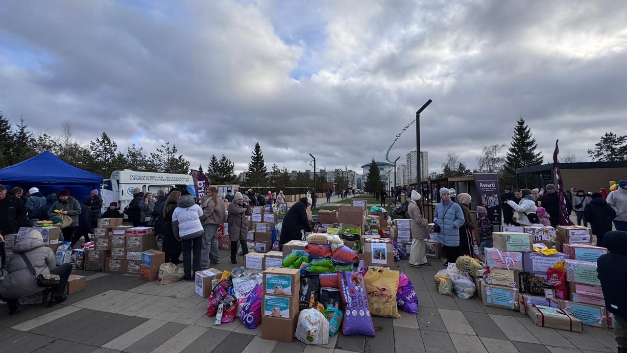 Друг в беде не бросит. 15 ноября в Уфе прошла десятая благотворительно-просветительская акция «Ищу человека» Она проводится ежемесячно по инициативе мэра Уфы Ратмира Мавлиева в рамках проекта «Уфа добрая» Площадкой стал парк... Друг в беде не бросит. 15 ноября в Уфе прошла десятая благотворительно-просветительская акция «Ищу человека» Она проводится ежемесячно по инициативе мэра Уфы Ратмира Мавлиева в рамках проекта «Уфа добрая» Площадкой стал парк...