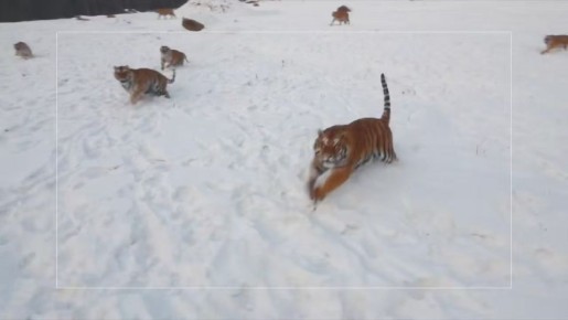 #ЮНЕСКО80 День создания ЮНЕСКО