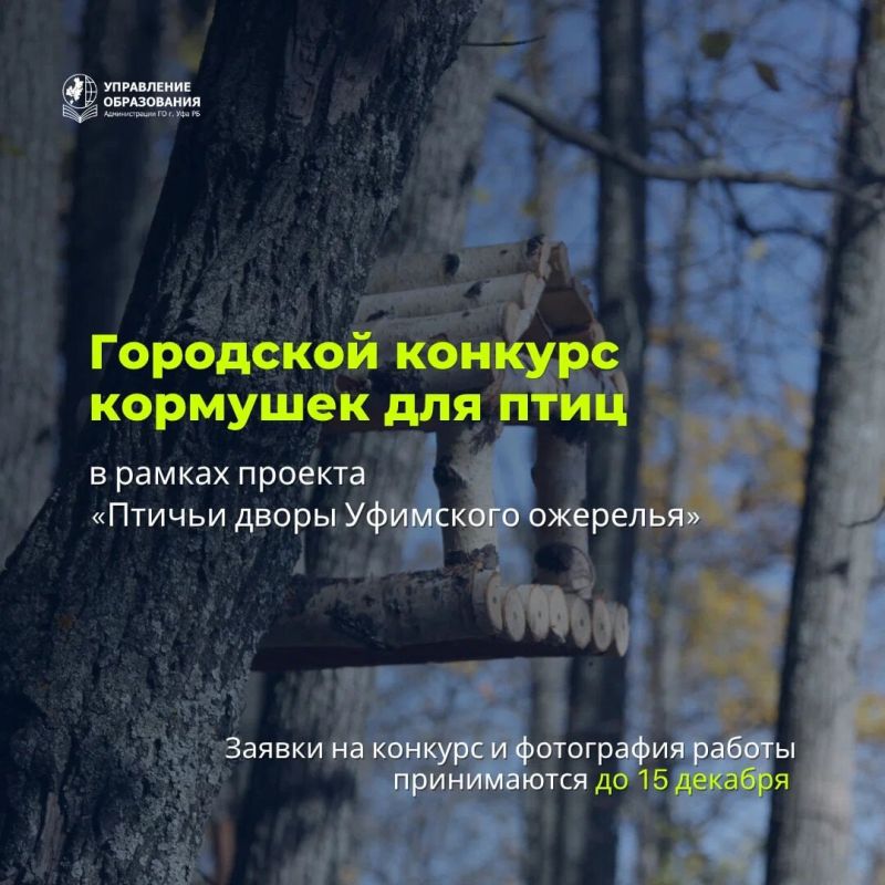 Прилетели и поели. В Уфе проходит городской конкурс кормушек для птиц в рамках проекта «Птичьи дворы Уфимского ожерелья»