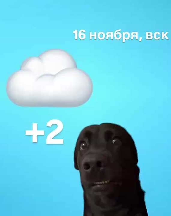 Ещё один выходной! Доброе утро