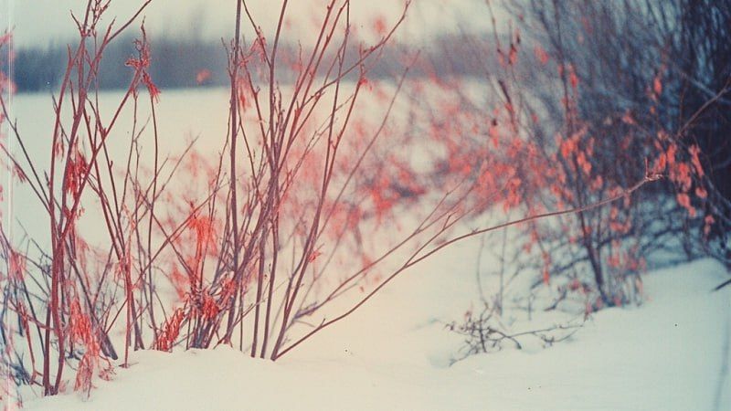 Ухудшение погодных условий