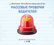 Итоги массовых проверок. В пятницу и субботу, 14 и 15 ноября, госавтоинспекторы провели массовые проверки водителей