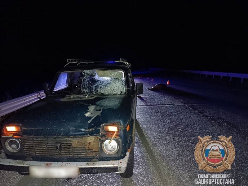 За выходные погибли два пешехода