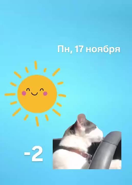 Доброе утро!