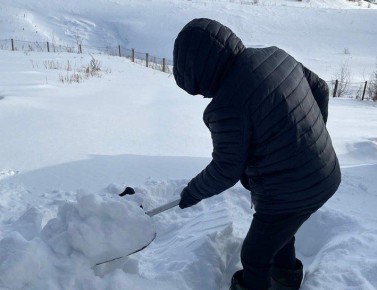 В России задумались о возвращении наказания за тунеядство