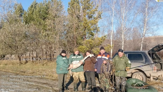 История со счастливым концом История со счастливым концом