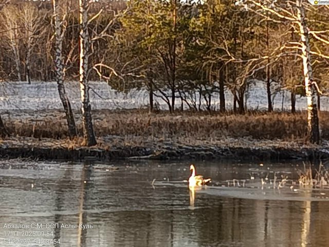 История со счастливым концом История со счастливым концом