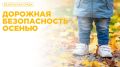 Дорожная безопасность осенью