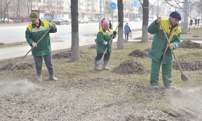 Глава Рособрнадзора потребовал от родителей не пугать детей работой дворника