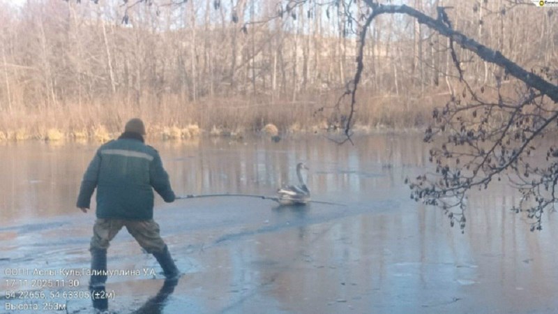 История со счастливым концом