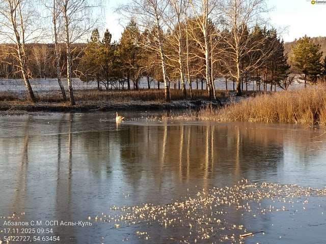 История со счастливым концом История со счастливым концом