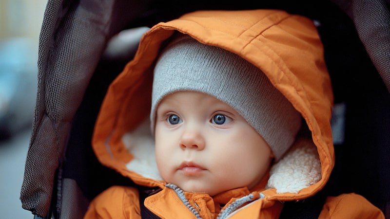 На свет появились Рейна и Эдель