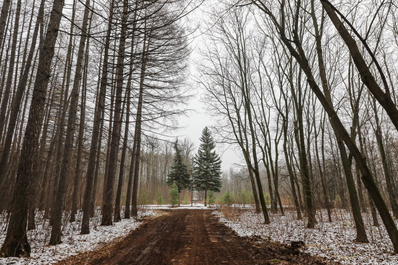 Сохранить и благоустроить. В Уфе приступили к благоустройству дендропарка имени лесовода Георгия Рутто