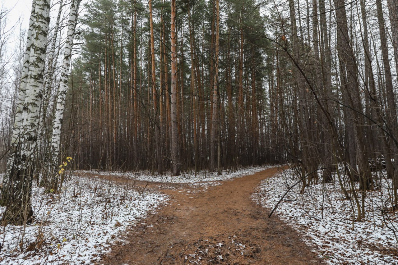 Сохранить и благоустроить. В Уфе приступили к благоустройству дендропарка имени лесовода Георгия Рутто Сохранить и благоустроить. В Уфе приступили к благоустройству дендропарка имени лесовода Георгия Рутто