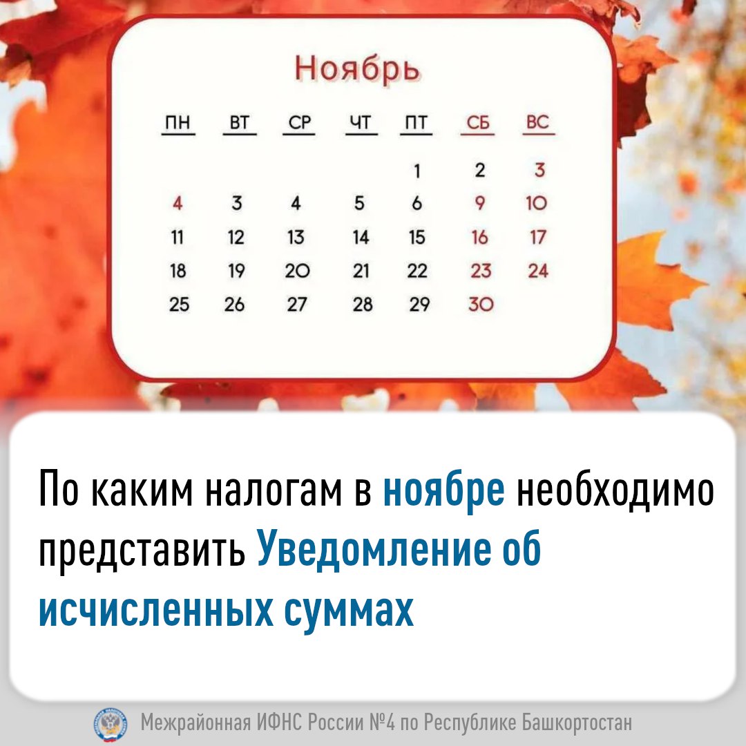 По каким налогам в ноябре необходимо представить Уведомление об исчисленных суммах