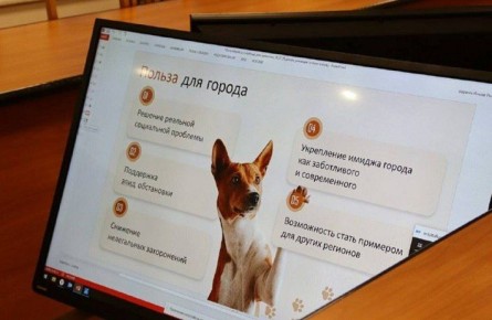 В Уфе впервые появится кладбище домашних животных