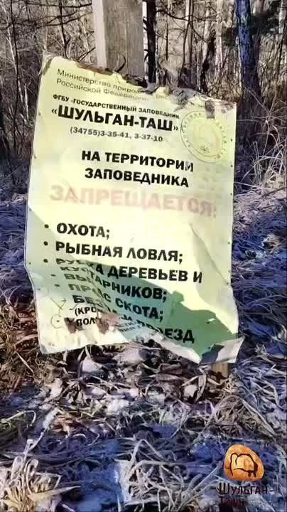 Заприметили лося-вандала. Неаккуратный лось сбил аншлаг с информацией в заповеднике «Шульган-Таш»