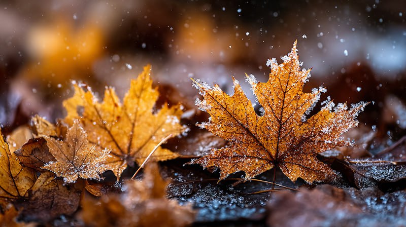 И вновь неблагоприятные погодные условия