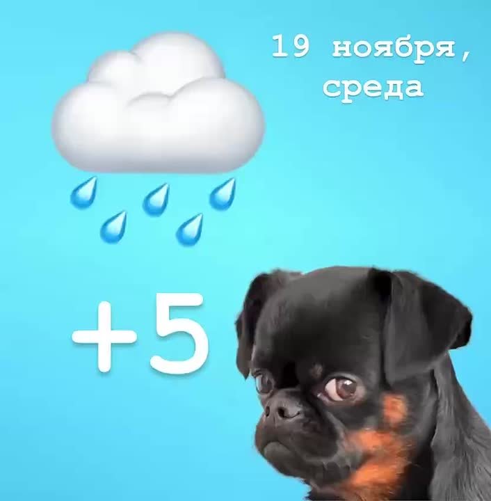 Доброе утро! Когда уже будет снег и зима? С осенью всё понятно