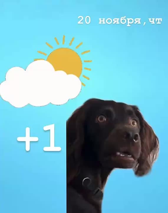 Доброе утро!